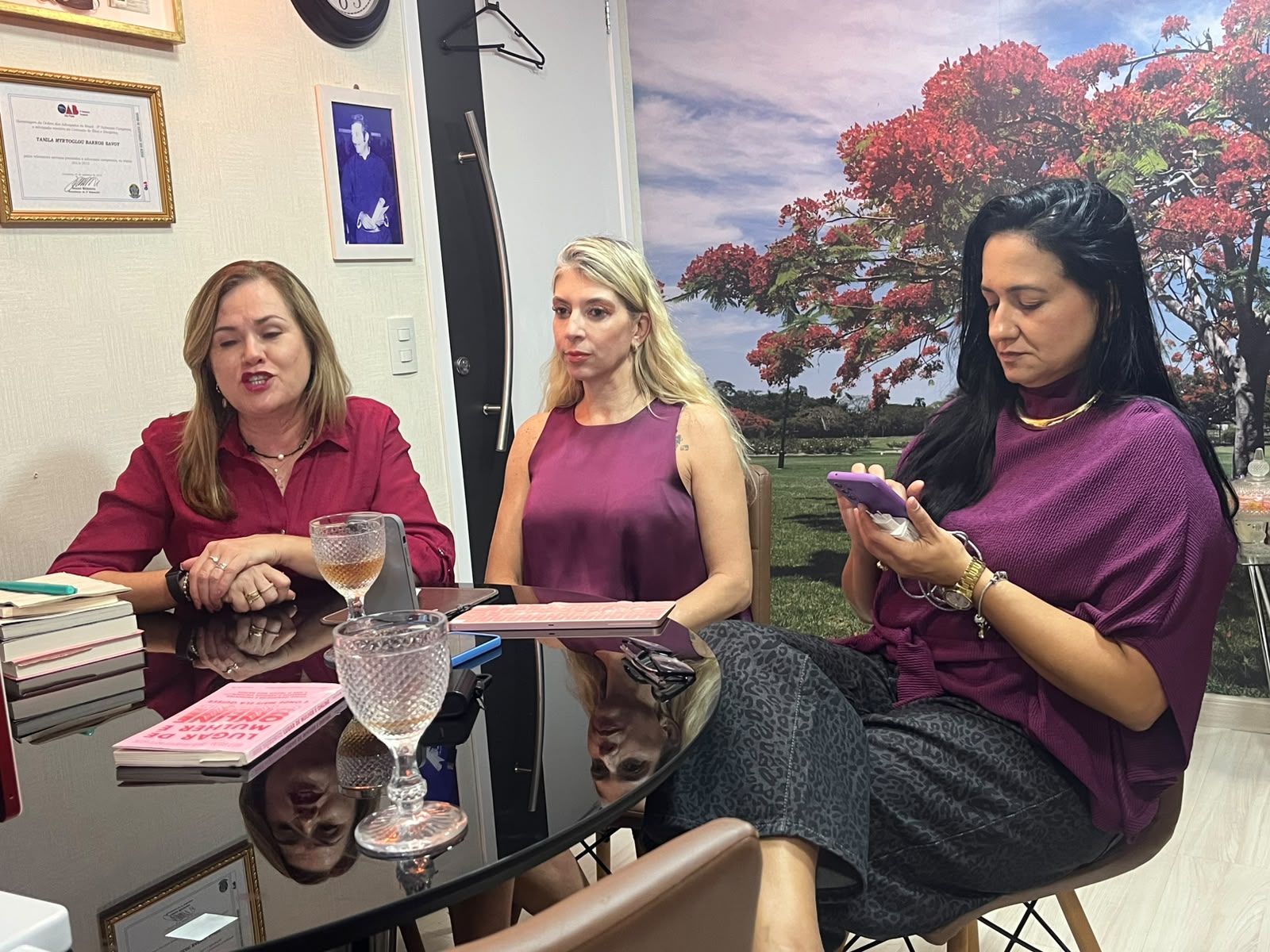 Foto 5 do evento LIVE- Elas Seguras nas Redes- Segurança da mulher no Digital