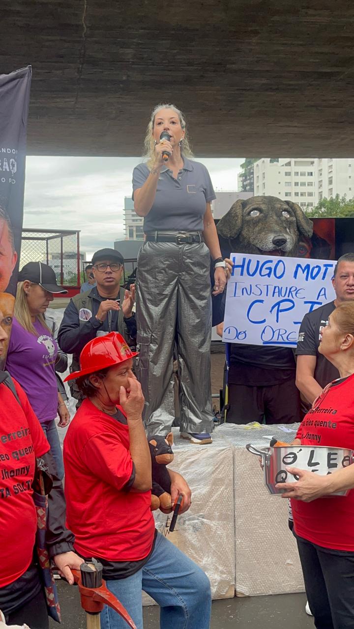 Foto 6 do evento Manifestação contra os vídeos ao vivo, de maus-tratos a animais no Discord