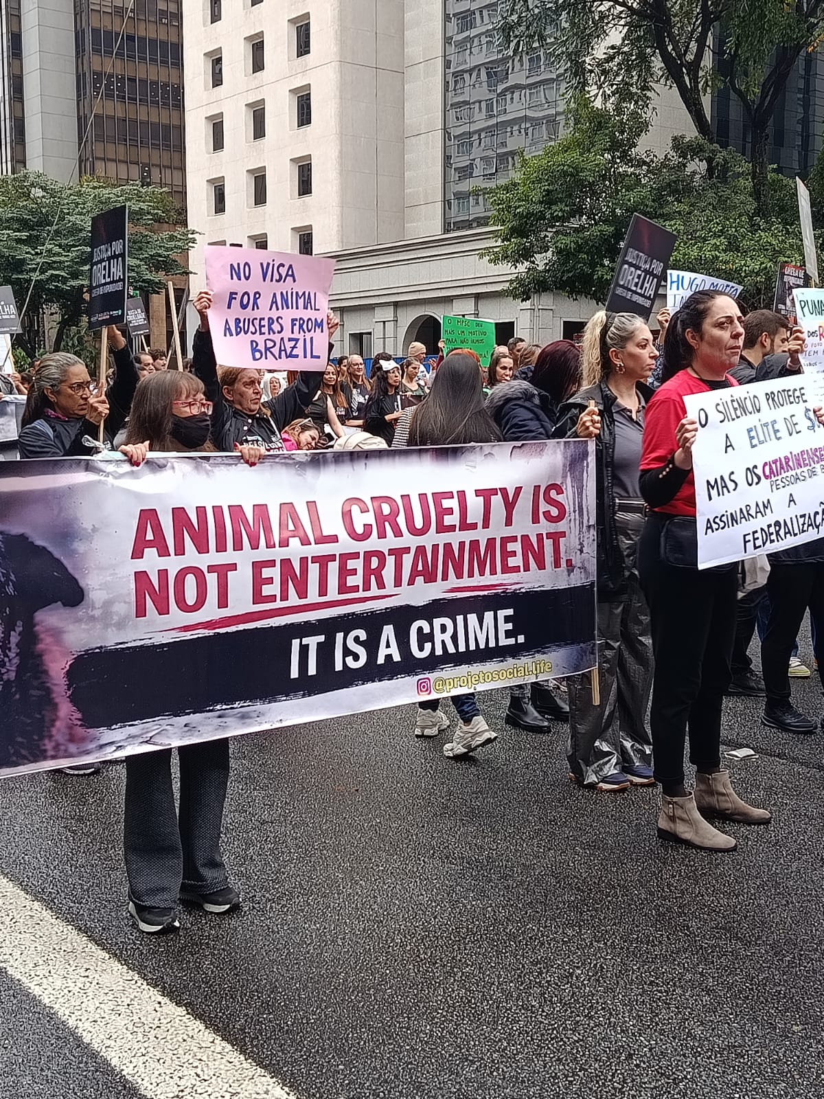 Foto 2 do evento Manifestação contra os vídeos ao vivo, de maus-tratos a animais no Discord