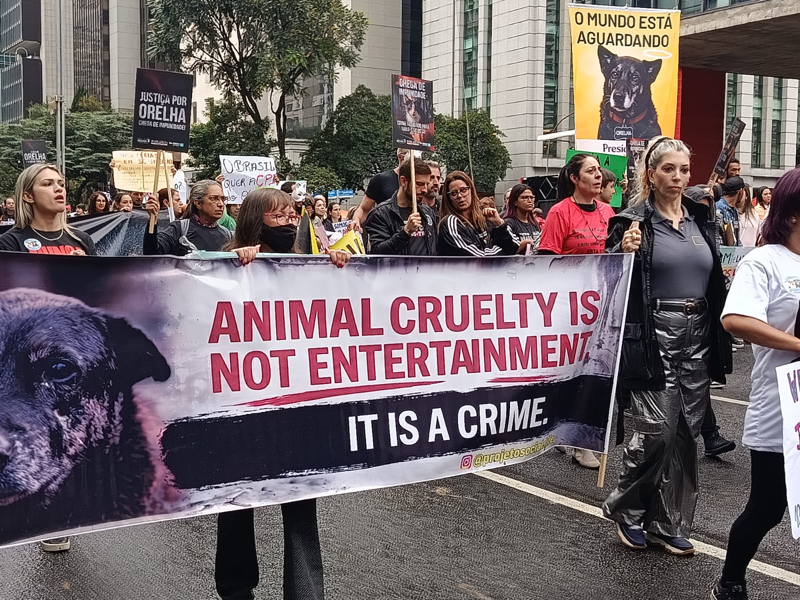 Foto 1 do evento Manifestação contra os vídeos ao vivo, de maus-tratos a animais no Discord
