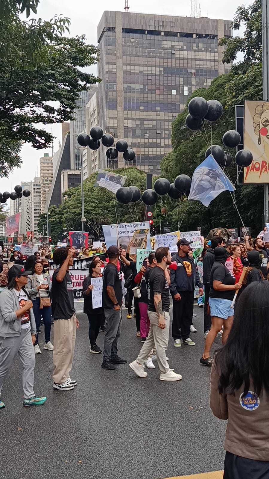 Foto 3 do evento Manifestação contra os vídeos ao vivo, de maus-tratos a animais no Discord
